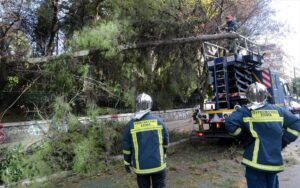 Ενέργειες του Πυροσβεστικού Σώματος μετά την εκδήλωση πολύ ισχυρών ανέμων συνοδεία ισχυρών βροχοπτώσεων