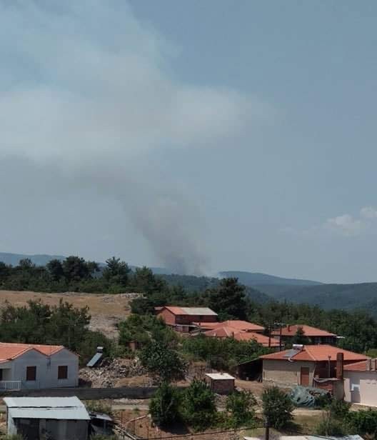 Πυρκαγιά ΤΩΡΑ σε δασική έκταση στην περιοχή Κοτρωνιά στο Σουφλί (Φώτο)