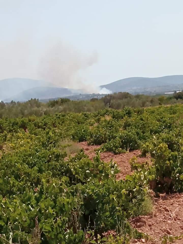 Πυρκαγιά σε εξέλιξη σε χορτολιβαδική έκταση στο Κορωπί Αττικής