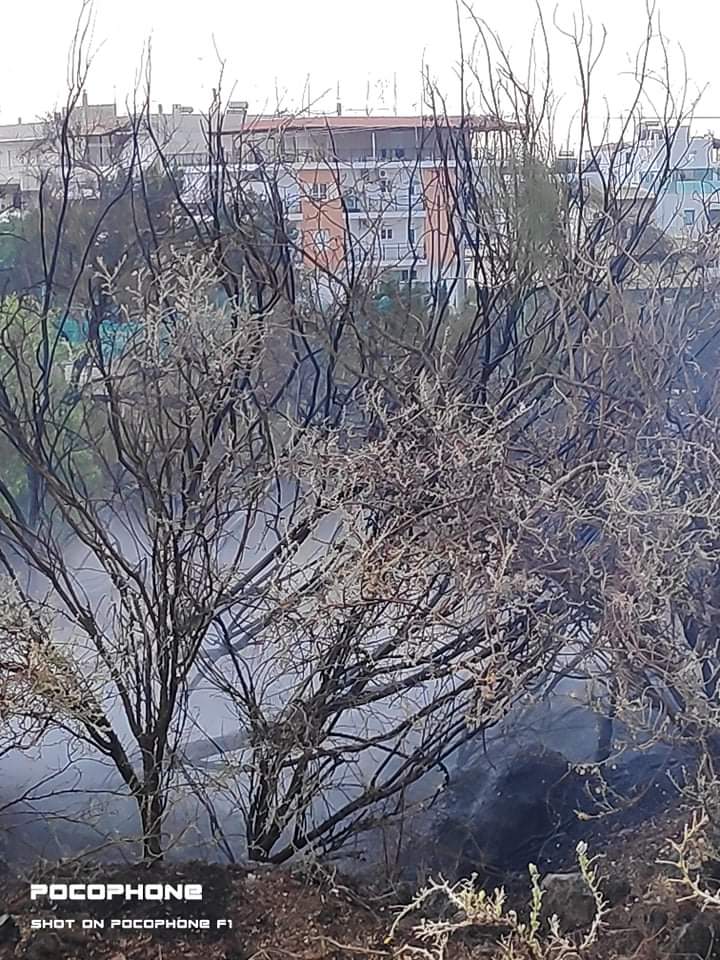 Πυρκαγιά εν υπαίθρω στην Βούλα Αττικής (Φώτο)