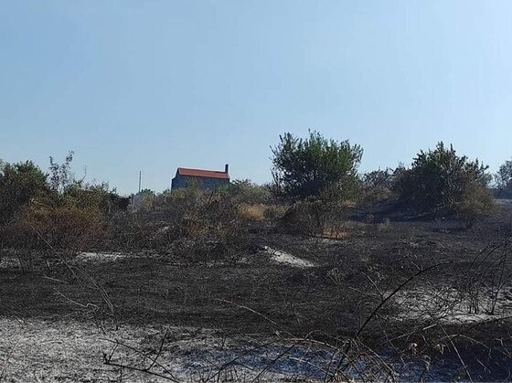 Σουφλί: Περίπου 1.500 στρέμματα καμένα από την πυρκαγιά