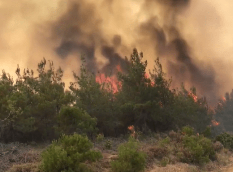 Πυρκαγιά σε αγροτοδασική έκταση στην Μεσσηνία
