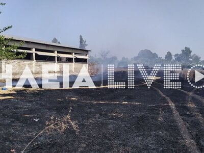 Ανδραβίδα: Συναγερμός για πυρκαγιά στην είσοδο του αεροδρομίου της 117 ΠΜ