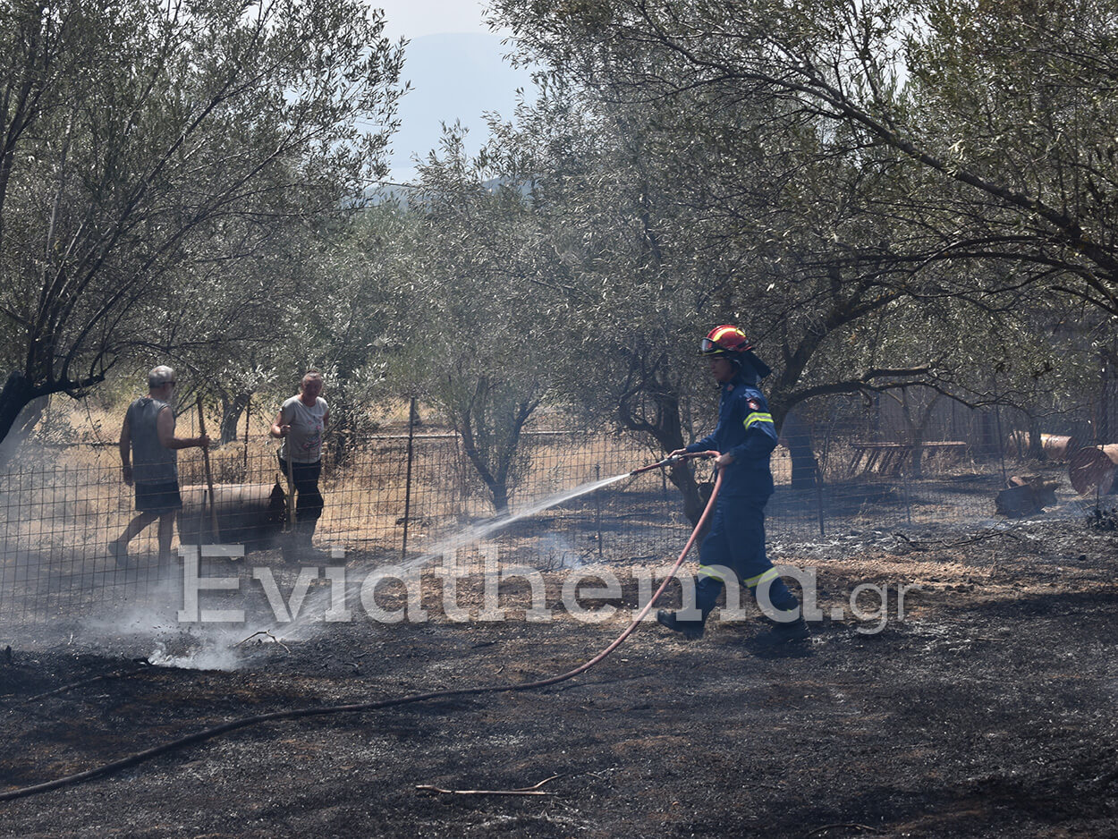 Πυρκαγιά εν υπαίθρω στην περιοχή Τριάδα Ευβοίας