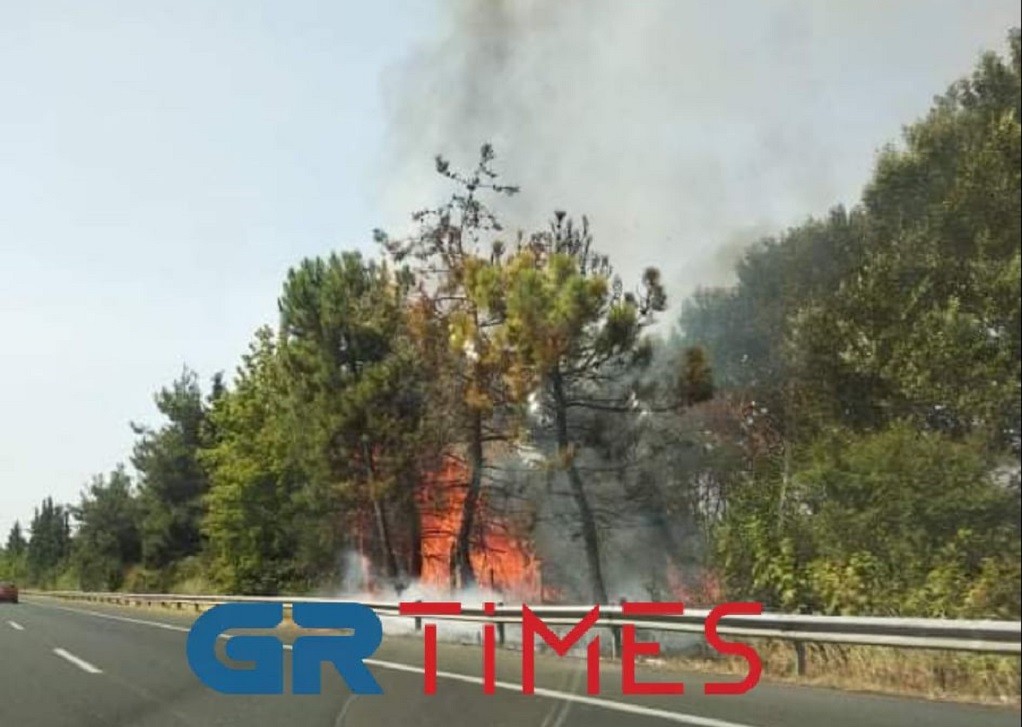 Πυρκαγιά στην Ε.Ο. Θεσσαλονίκης – Αθηνών (Φώτο)