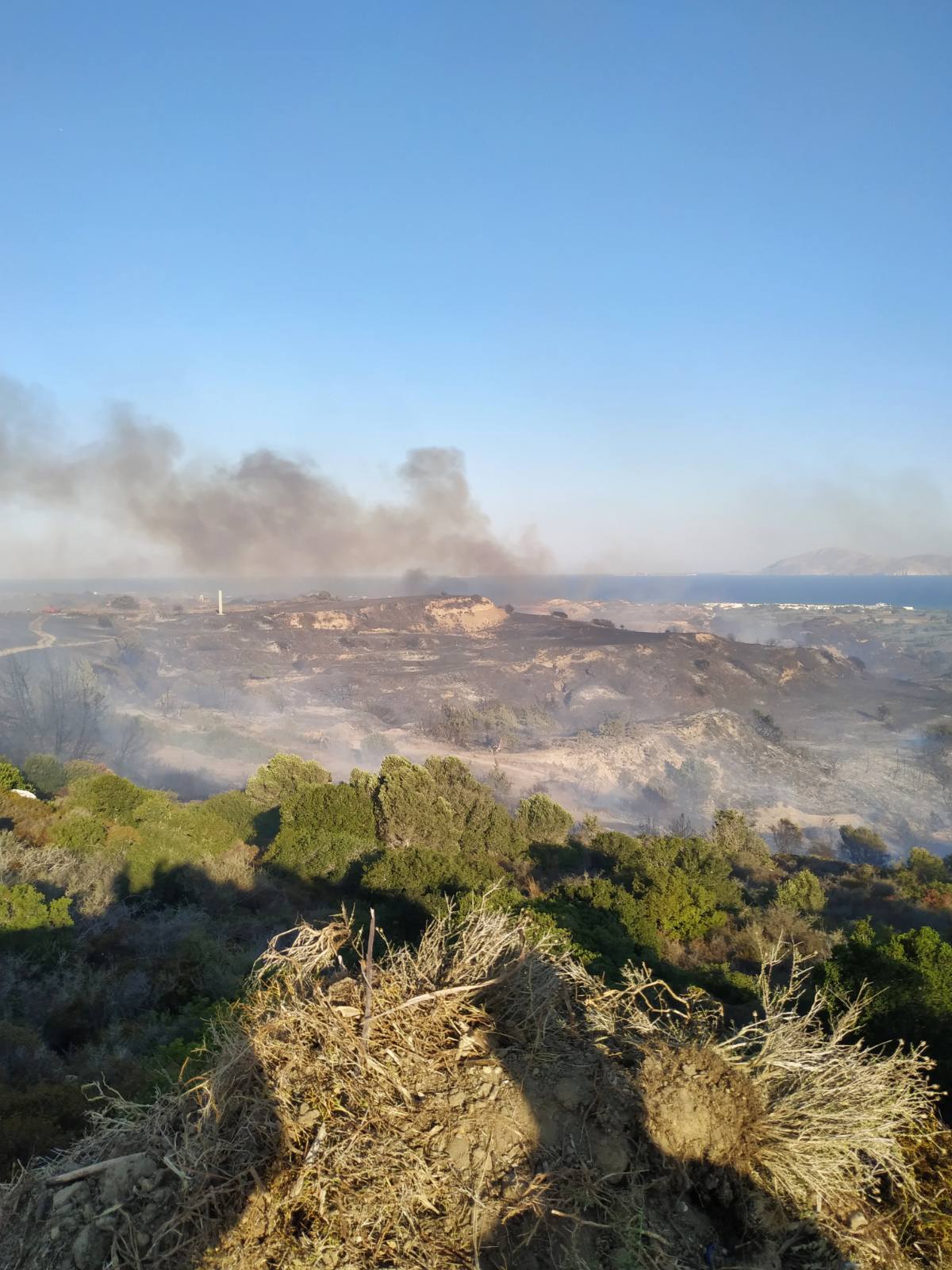 Πυρκαγιά σε δασική έκταση στην περιοχή Μαστιχάρι στην Κω