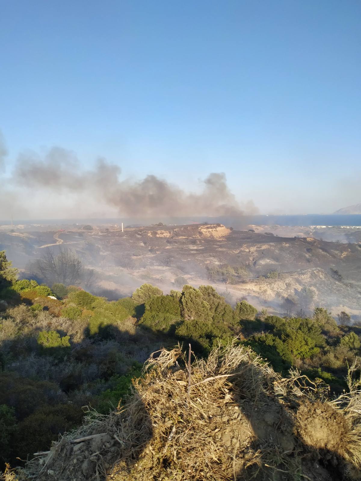 Πυρκαγιά σε δασική έκταση στην περιοχή Μαστιχάρι στην Κω
