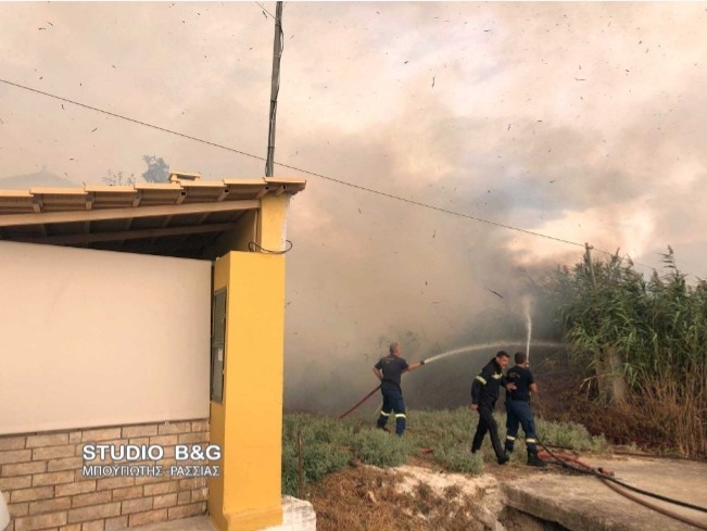 Αργολίδα: Πυρκαγιά στην Αγία Άννα Τημένιο Άργους (Φωτο)