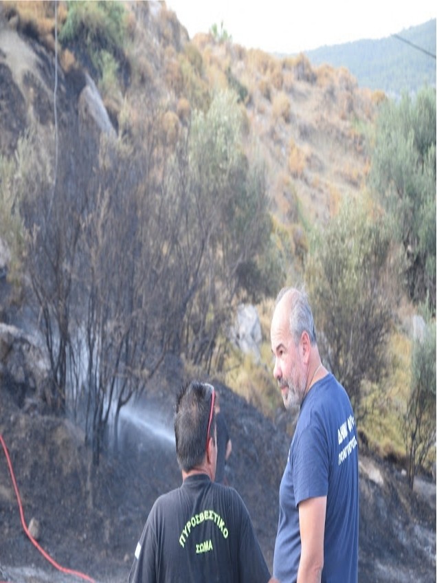 Νέα πυρκαγιά εκδηλώθηκε στην Περιφερειακή Λεωφόρο Αιγάλεω (Φωτό)