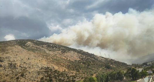 Πυρκαγιά σε χαμηλή βλάστηση στην περιοχή Παραλία Διστόμου Βοιωτίας