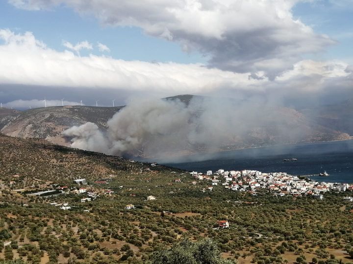 Πυρκαγιά σε χαμηλή βλάστηση στην περιοχή Παραλία Διστόμου Βοιωτίας