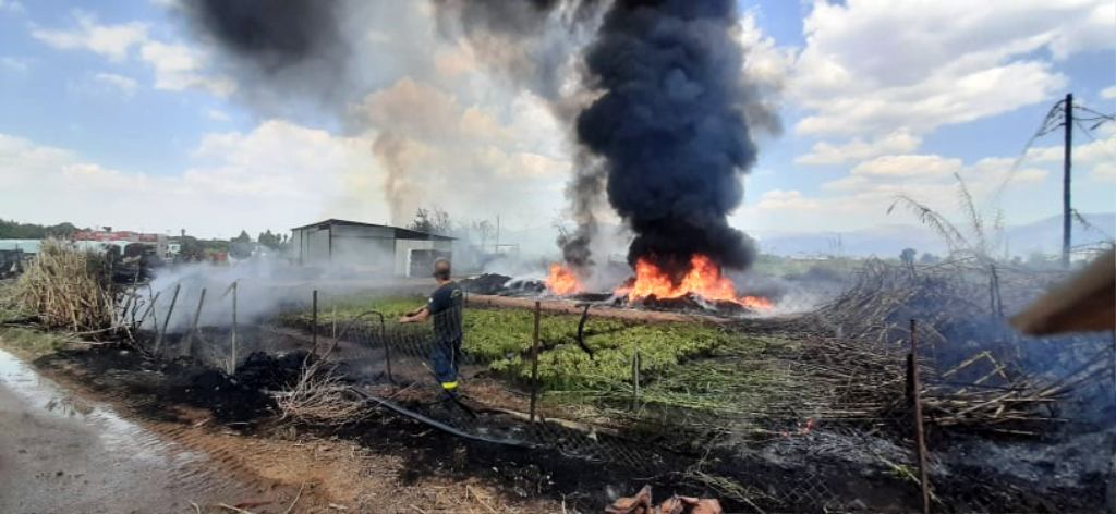 Πυρκαγιά σε ανθοκήπιο στην περιοχή της Μπούκας Μεσσηνίας