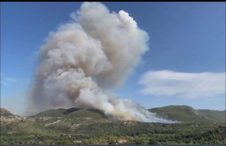 Μεγάλη πυρκαγιά ΤΩΡΑ σε δασική έκταση στα Καλύβια Μεγαλόπολης (Φωτο)