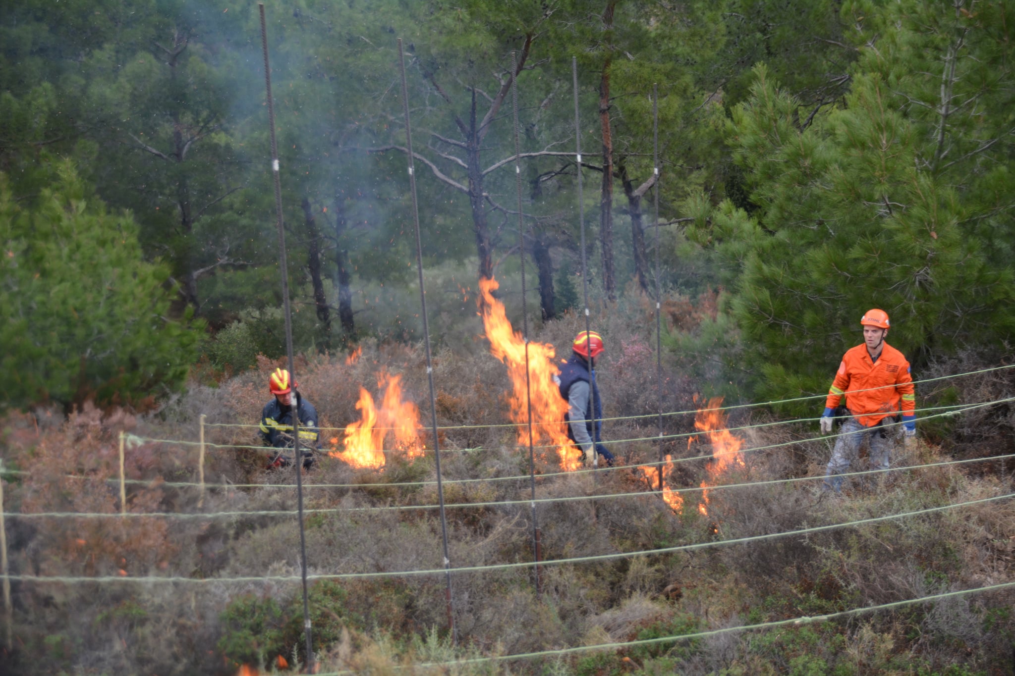 Πραγματοποιήθηκε η πρώτη "Προδιαγραμμένη καύση" στη Χίο (Φωτο)