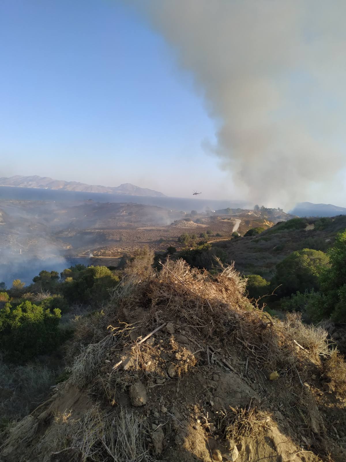 Πυρκαγιά σε δασική έκταση στην περιοχή Μαστιχάρι στην Κω