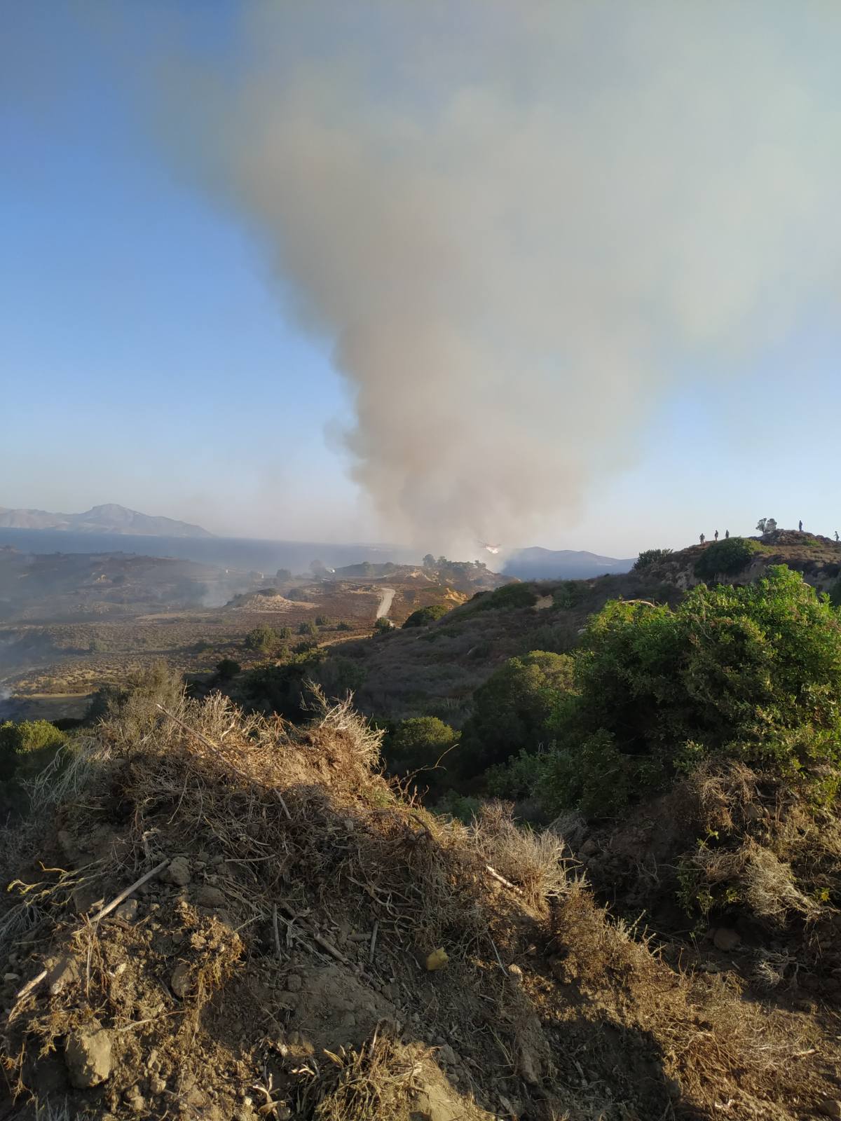 Πυρκαγιά σε δασική έκταση στην περιοχή Μαστιχάρι στην Κω