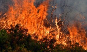 Ατιμώρητοι οι εμπρησμοί στην Ελλάδα μέσα στον 21ο αιώνα