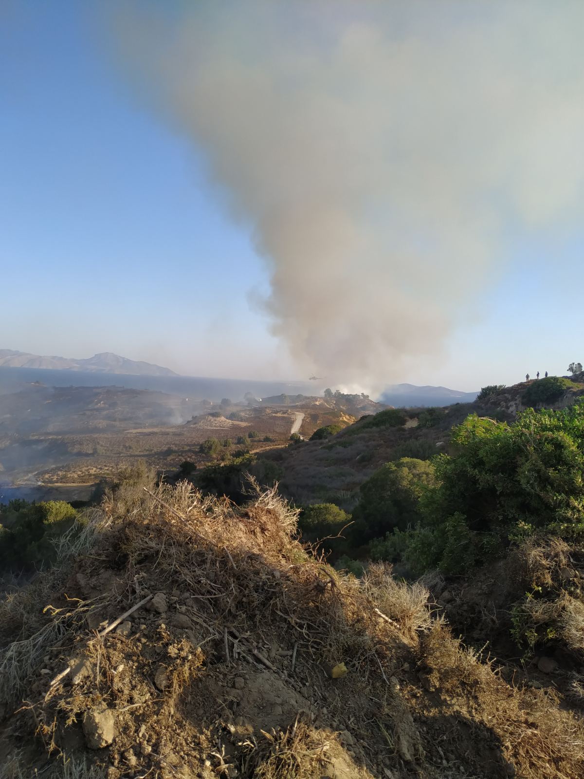 Πυρκαγιά σε δασική έκταση στην περιοχή Μαστιχάρι στην Κω