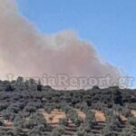 Πυρκαγιά σε δασική έκταση βορειοδυτικά της Αταλάντης (Φωτο)