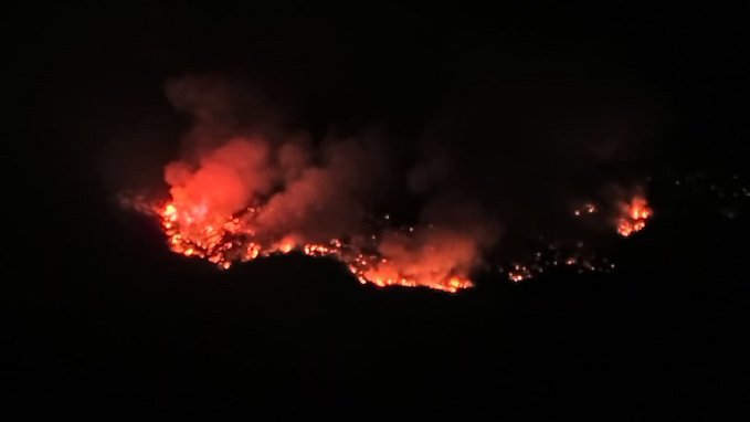 Πυρκαγιά σε δασική έκταση στα Φάρσα Κεφαλονιάς