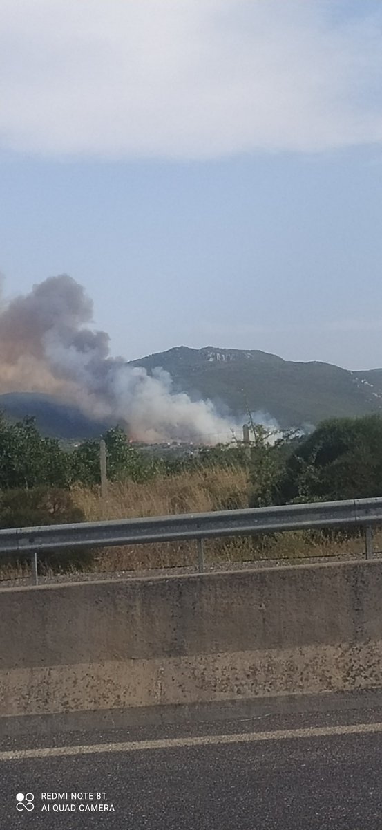 Μεγάλη πυρκαγιά ΤΩΡΑ σε δασική έκταση στα Καλύβια Μεγαλόπολης (Φωτο)
