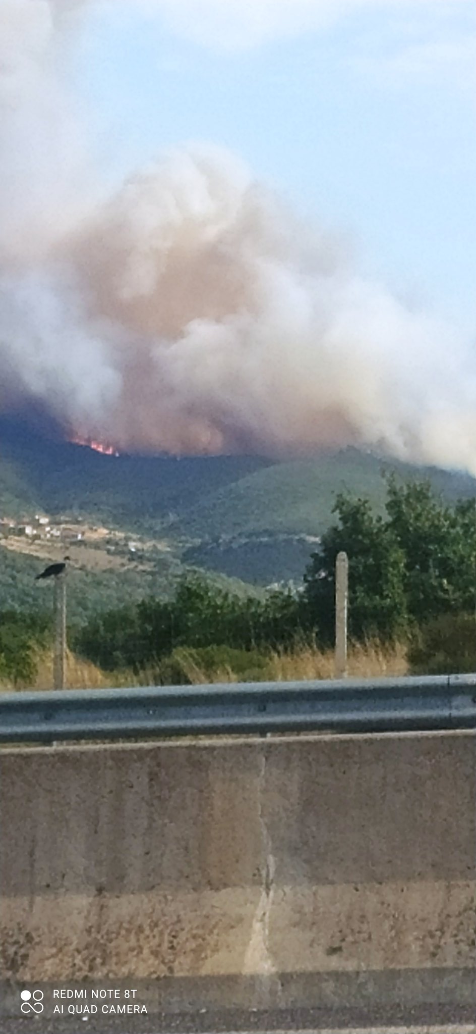 Μεγάλη πυρκαγιά ΤΩΡΑ σε δασική έκταση στα Καλύβια Μεγαλόπολης (Φωτο)