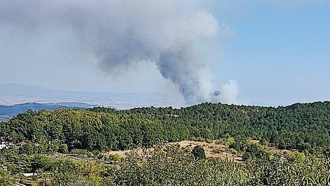 Πυρκαγιά ΤΩΡΑ σε δασική έκταση στην θέση Ψήλωμα στο Κιλκίς