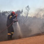 Άμεσα οριοθετήθηκε η πυρκαγιά σε δασική έκταση στα Λάβαρα Έβρου