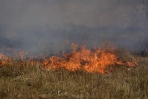 Επιβολή διοικητικού προστίμου για πυρκαγιά στην Θεσσαλονίκη