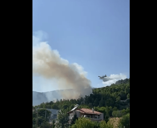 Πυρκαγιά ΤΩΡΑ σε δασική έκταση στις Αχαρνές Αττικής (Φωτο)