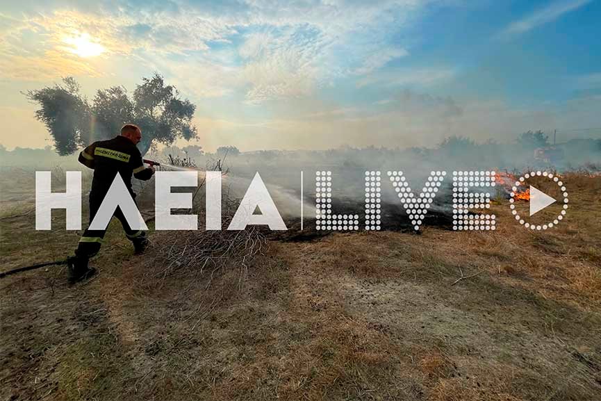 Πυρκαγιά σε χορτολιβαδική έκταση στον Αγ. Γεώργιο στην Ηλεία (photos)