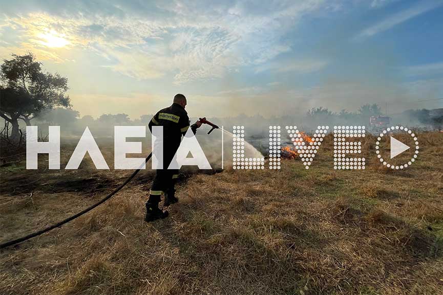 Πυρκαγιά σε χορτολιβαδική έκταση στον Αγ. Γεώργιο στην Ηλεία (photos)