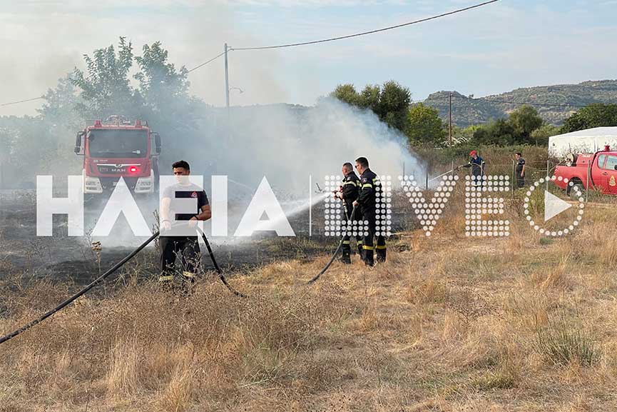 Πυρκαγιά σε χορτολιβαδική έκταση στον Αγ. Γεώργιο στην Ηλεία (photos)