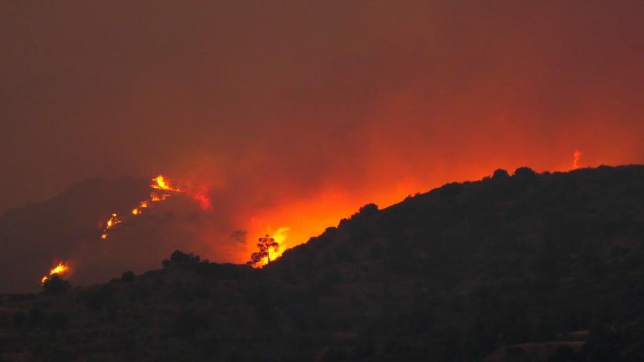 Πυροσβεστική: 32 δασικές πυρκαγιές το τελευταίο 24ωρο