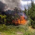 Πυρκαγιά ΤΩΡΑ σε δασική έκταση στην Καστοριά