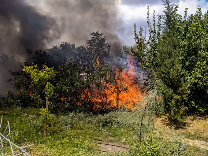 Πυρκαγιά ΤΩΡΑ σε δασική έκταση στην Καστοριά