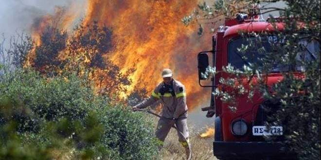 Πυροσβεστική: 41 δασικές πυρκαγιές το τελευταίο 24ωρο