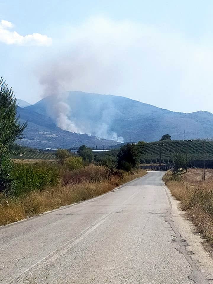 Πυρκαγιά ΤΩΡΑ σε χορτολιβαδική έκταση στο Μεσόβουνο Κοζάνης
