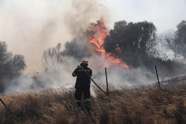 Αναζωπυρώθηκε η πυρκαγιά στην Καστοριά