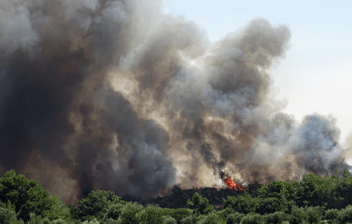 Συναγερμός για πυρκαγιά σε δασική έκταση στην Κρήτη – Μεγάλη κινητοποίηση της Πυροσβεστικής