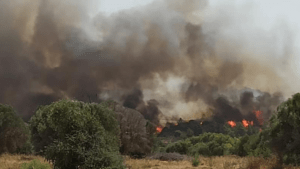 Συναγερμός στην Πυροσβεστική για δασική πυρκαγιά στην Καστοριά