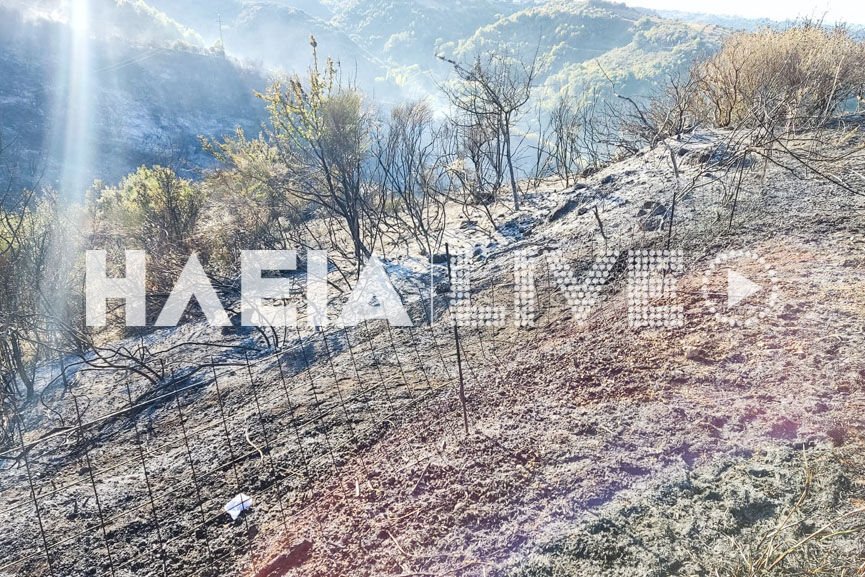 Ηλεία - Στάχτη 150 στρέμματα στα Άγνατα από τη νυχτερινή πυρκαγιά (Φωτό)