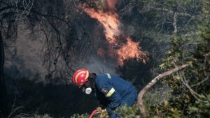 Δασική πυρκαγιά σε εξέλιξη στην Αχαία