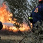 Πυρκαγιά ΤΩΡΑ σε χορτολιβαδική έκταση στον Έβρο