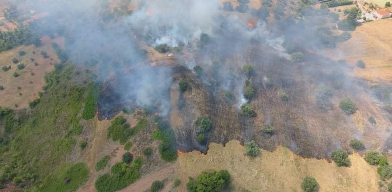 Υπό έλεγχο η πυρκαγιά στον Ταΰγετο Λακωνίας