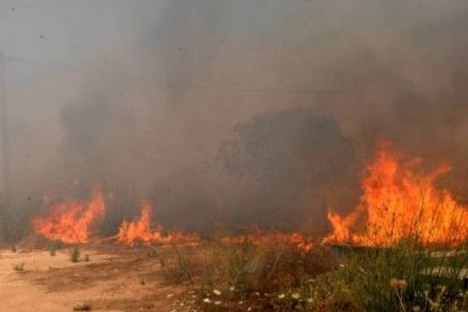 Πυρκαγιά σε χορτολιβαδική έκταση