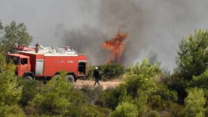 Πυρκαγιά ΤΩΡΑ σε χορτολιβαδική έκταση στην Αλεξανδρούπολη