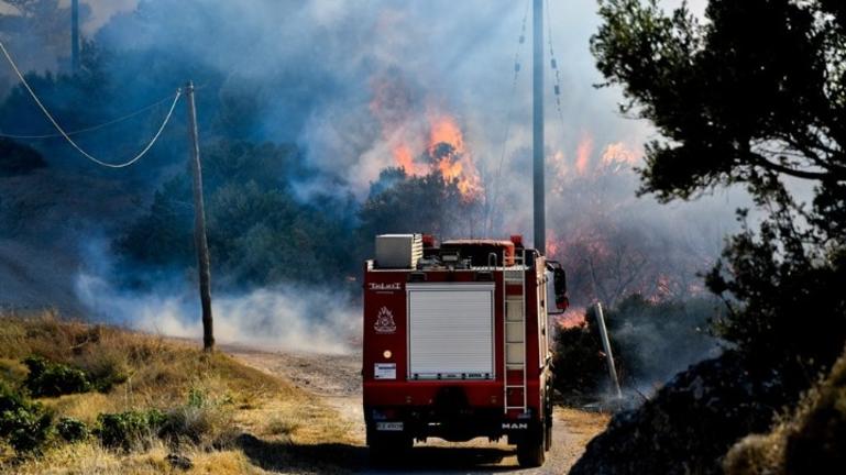Πυρκαγιά σε γεωργική έκταση στα Δερβενάκια Αργολίδας