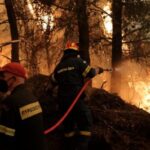 Πυροσβεστική: 47 δασικές πυρκαγιές το τελευταίο 24ωρο