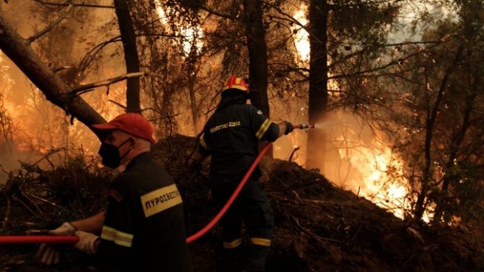 Πυροσβεστική: 47 δασικές πυρκαγιές το τελευταίο 24ωρο